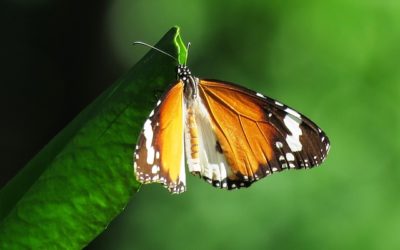 The emotion around change