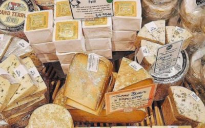 Supporting employees in embracing change, “moving with their cheese”